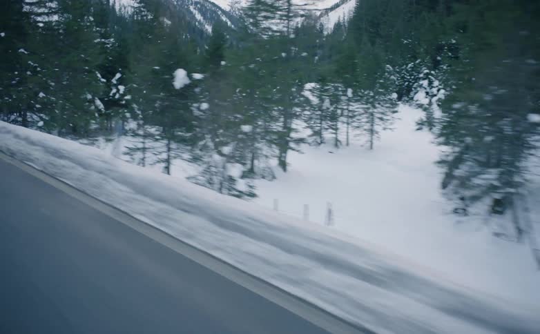 Snow covered trees along a road