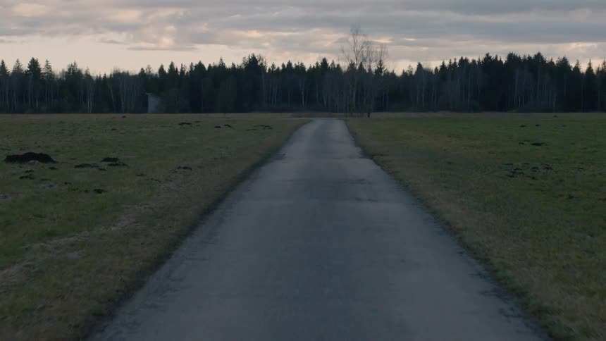Road leads between two mowed fields toward conifer forest under a cloudy sky