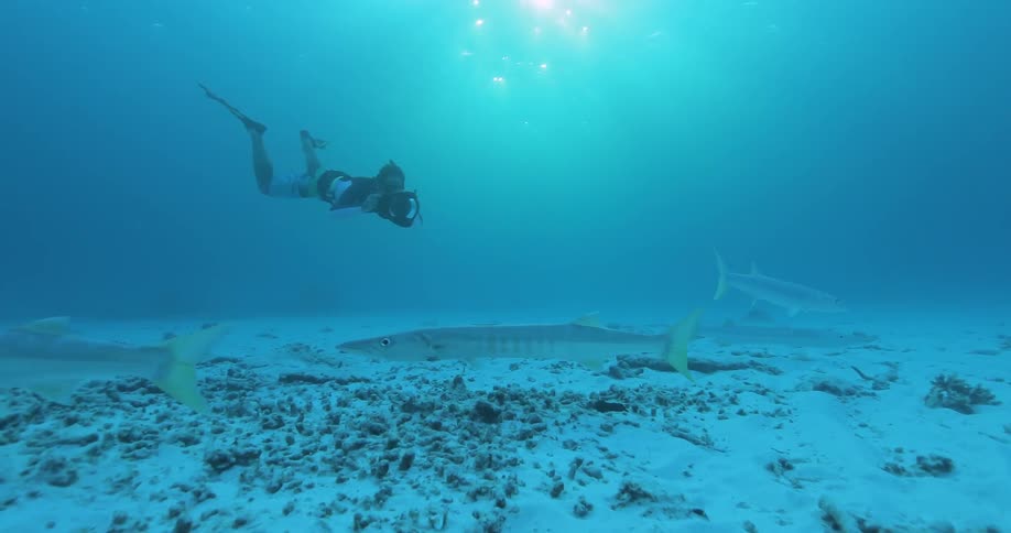 A scuba diver takes a picture of fish