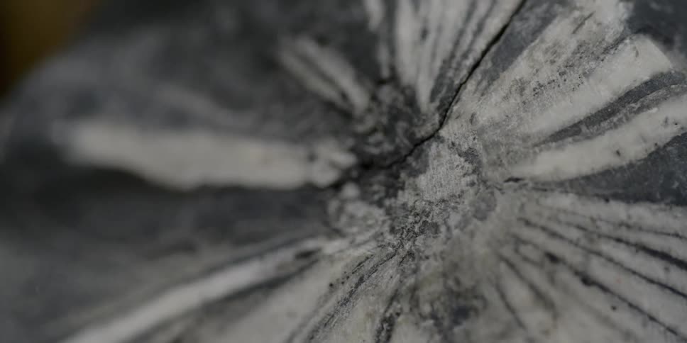 A crack runs through a black and white rock