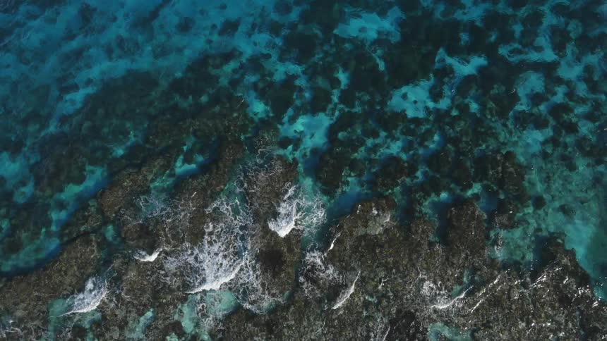 Underwater Photographers In The Ocean