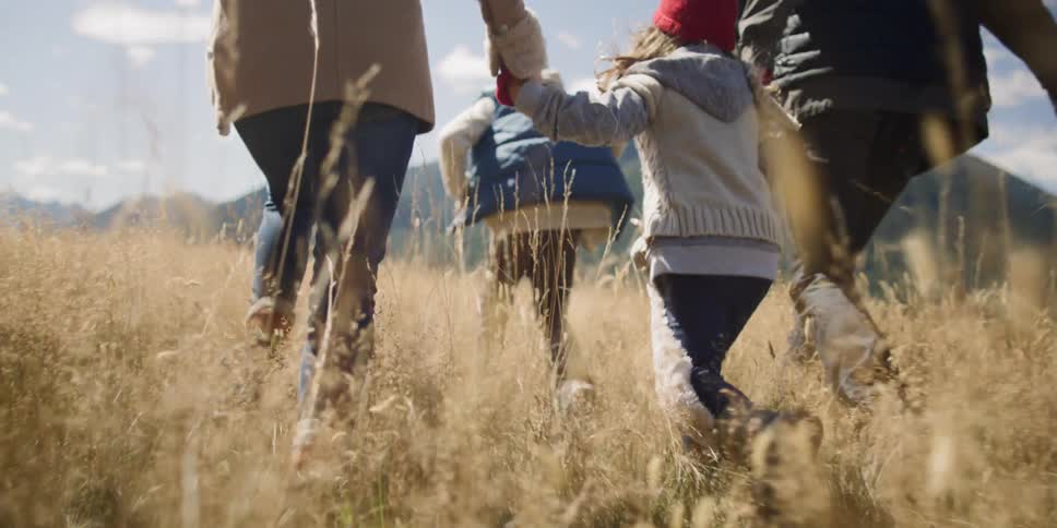Family runs through field holding hands on a bright sunny day