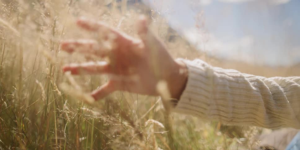 A person runs their hand through grass
