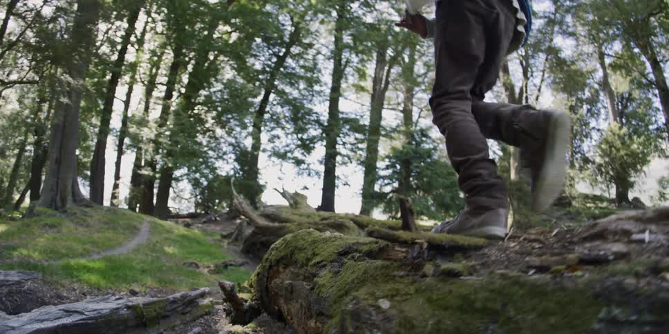 Boy runs on the tree trunk in the forest