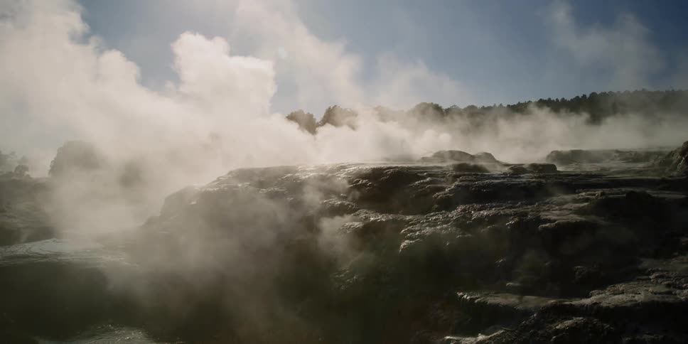 Steam rises from thermal vents near conifer forest