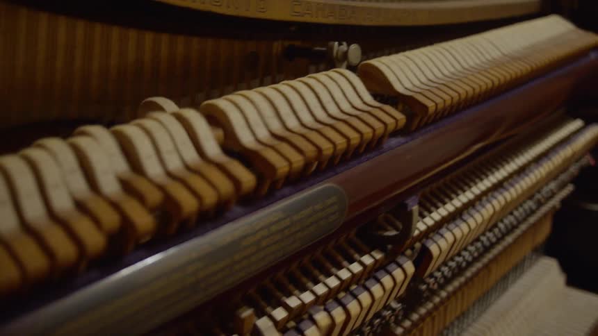 The inside of an organ
