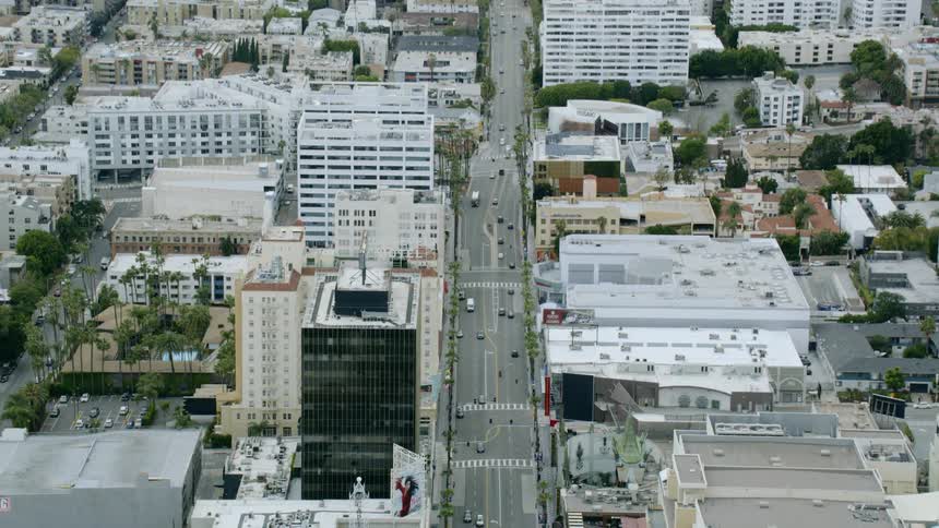 Cars travel on a wide city street dotted with palm trees