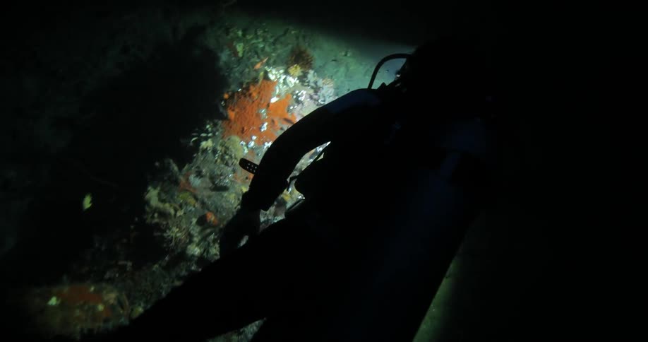 A diver swims with a flashlight in dark ocean waters