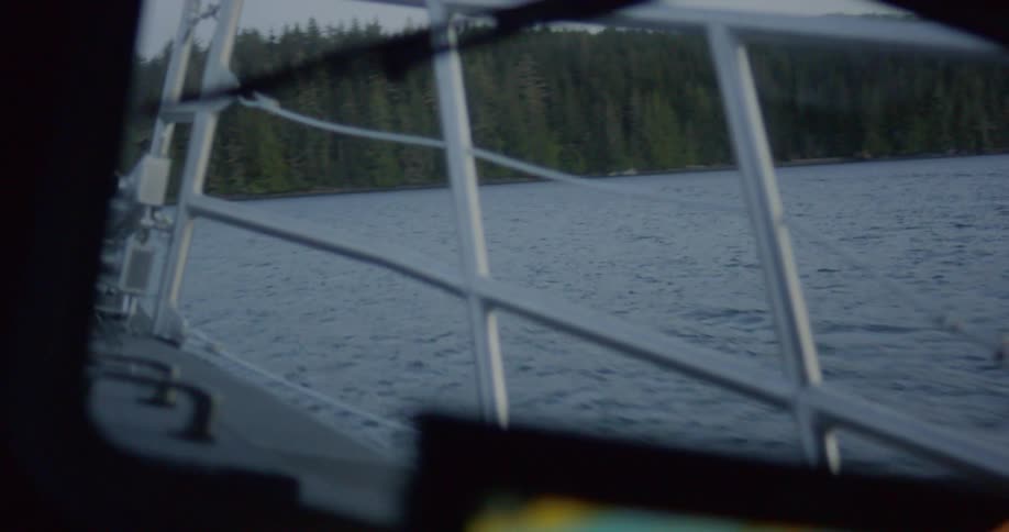 Boat speeding on a lake near pine forest