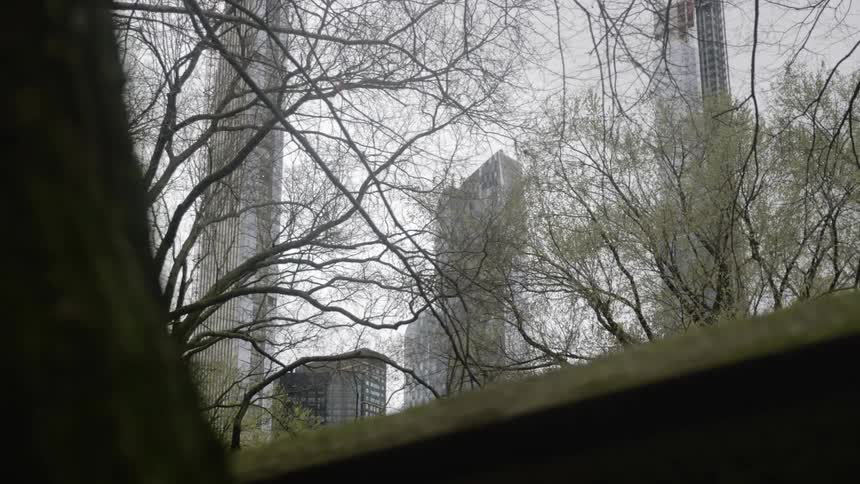 Buildings behind trees