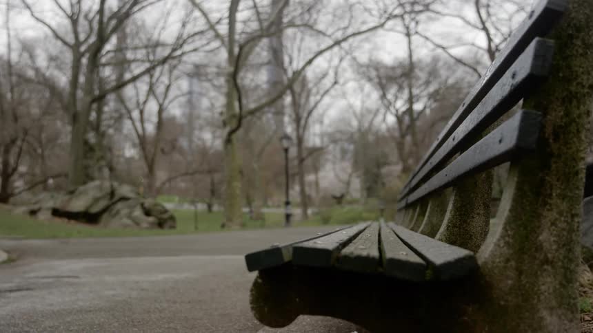 An empty bench sits on a quiet street