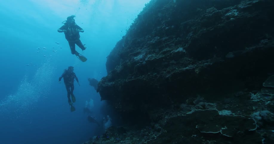 Two people scuba diving