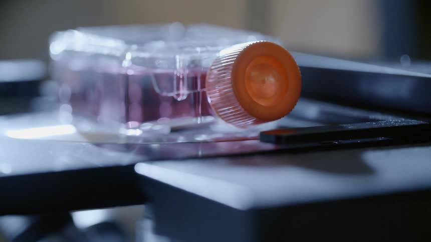 A bottle with liquid sits on a table