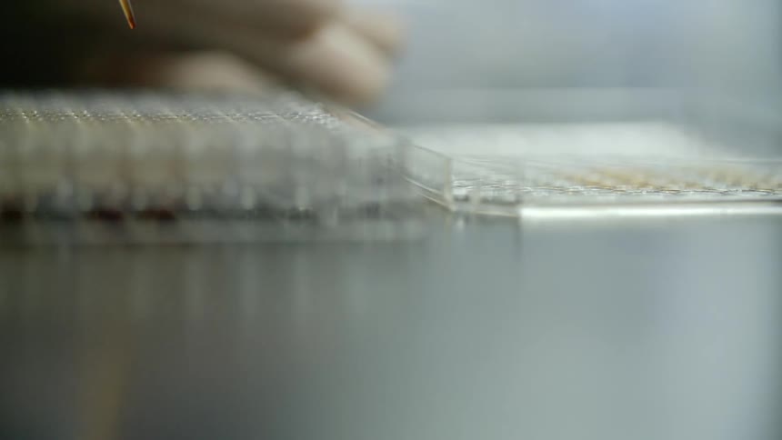 A person uses a syringe to put liquid in a container