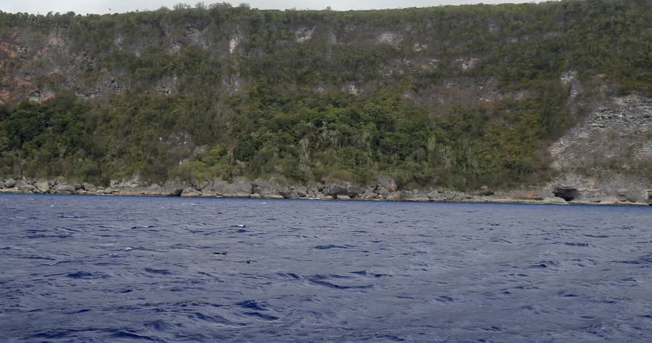Cliffs covered with scrub brush descend to the ocean