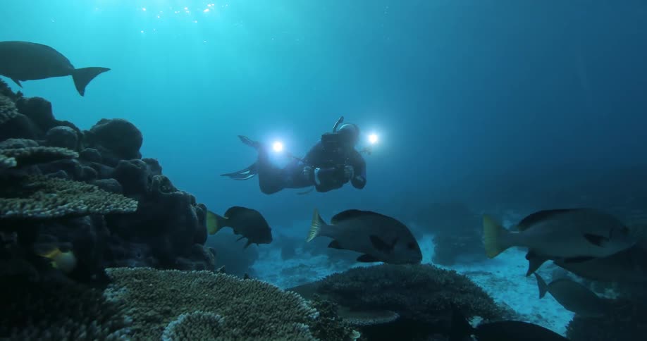 Underwater Photographers In The Ocean