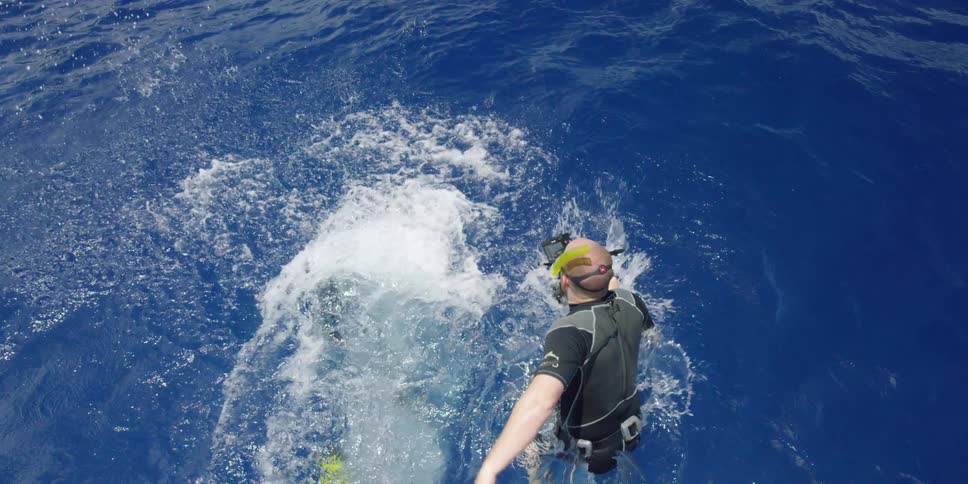 Underwater Photographers In The Ocean