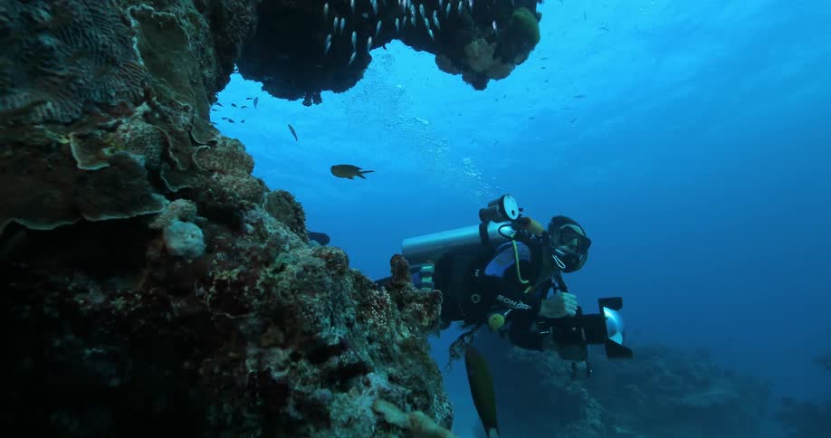 Underwater Photographers In The Ocean