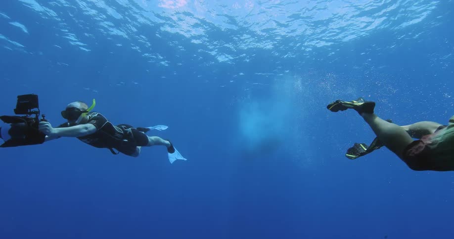 Two people scuba dive with cameras