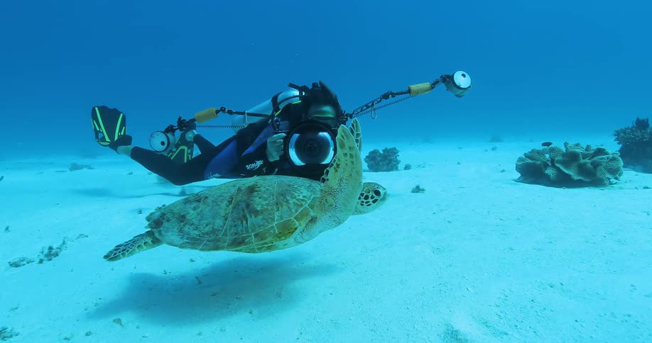 A man swims next to a turtle underwater