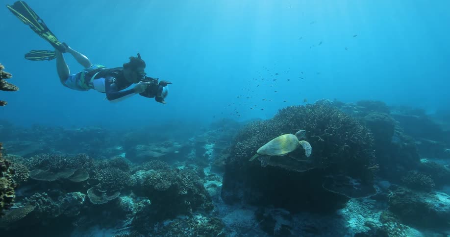 A man is diving underwater photographing a turtle