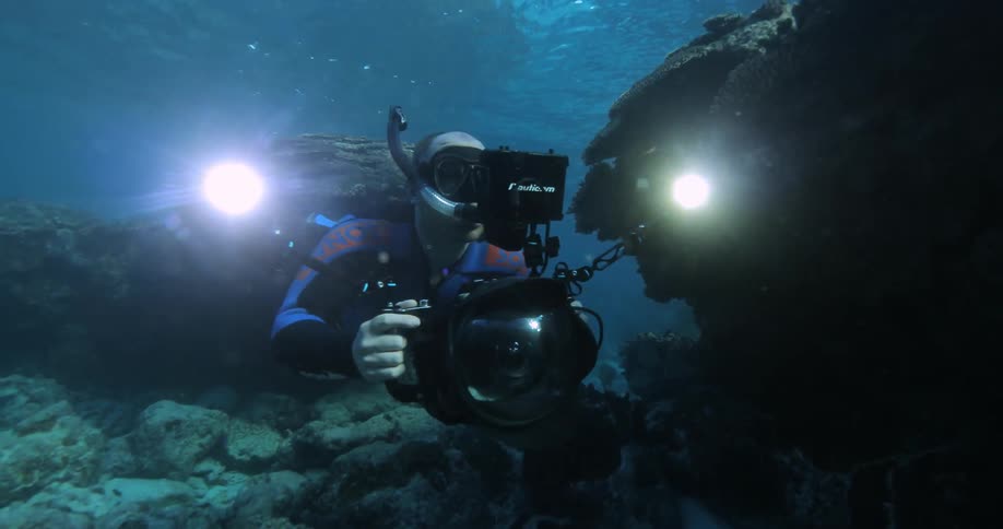 A scuba diver films fish underwater