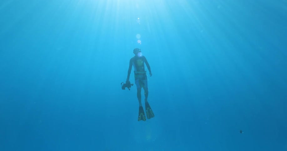 Underwater Photographers In The Ocean
