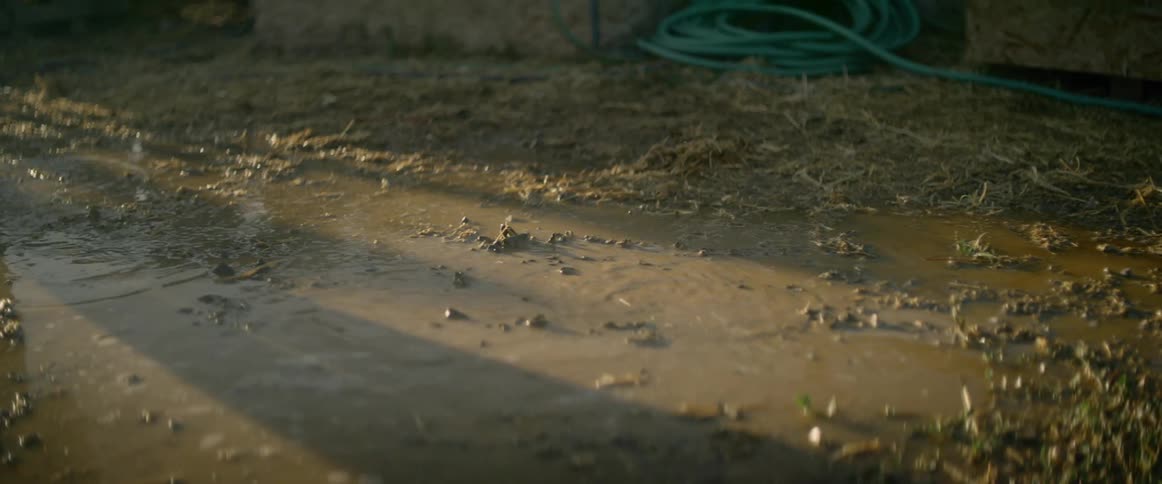 A person walks through the mud