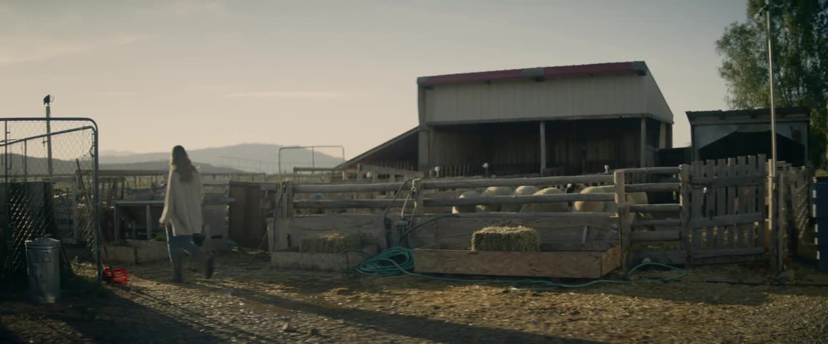 A woman walks through a pasture