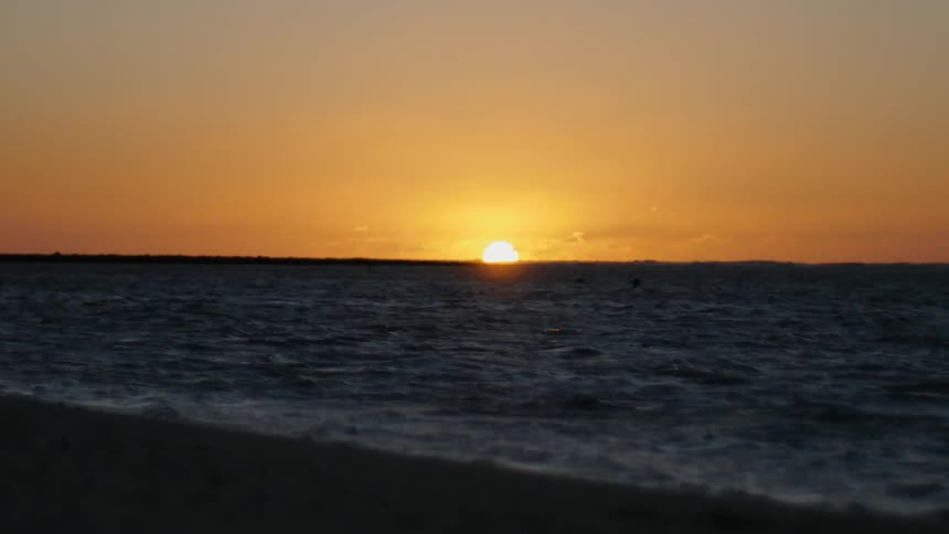 Birds quickly soar over the ocean at sunset
