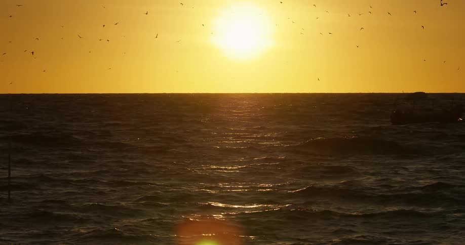 A large ocean has birds flying above as the sun sets