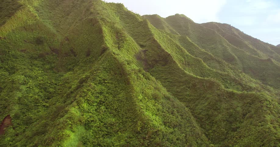 The mountains are tall and green