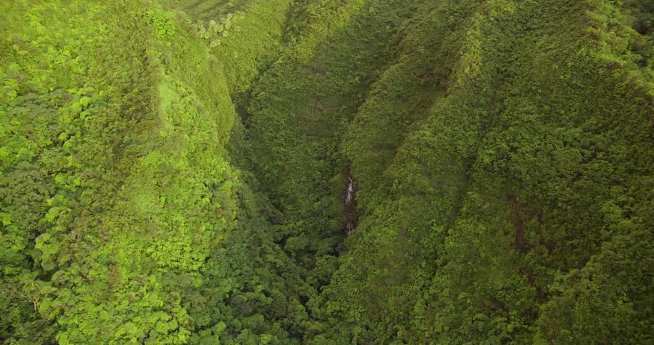 A water fall trickles down a hill