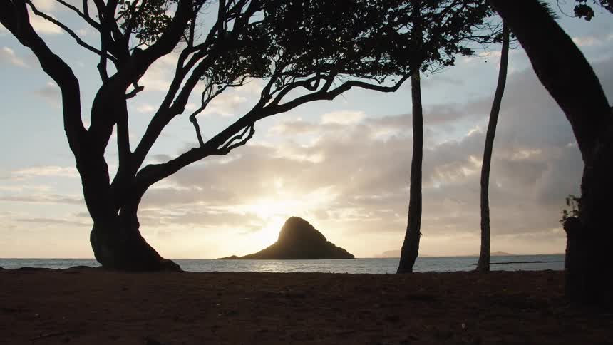 A sandy beach with trees and an island in the background