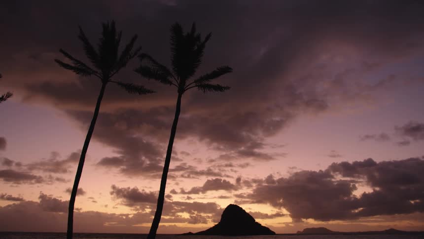Palm trees stir in the windas island stands as silhouette under lavender and orange tinted sky