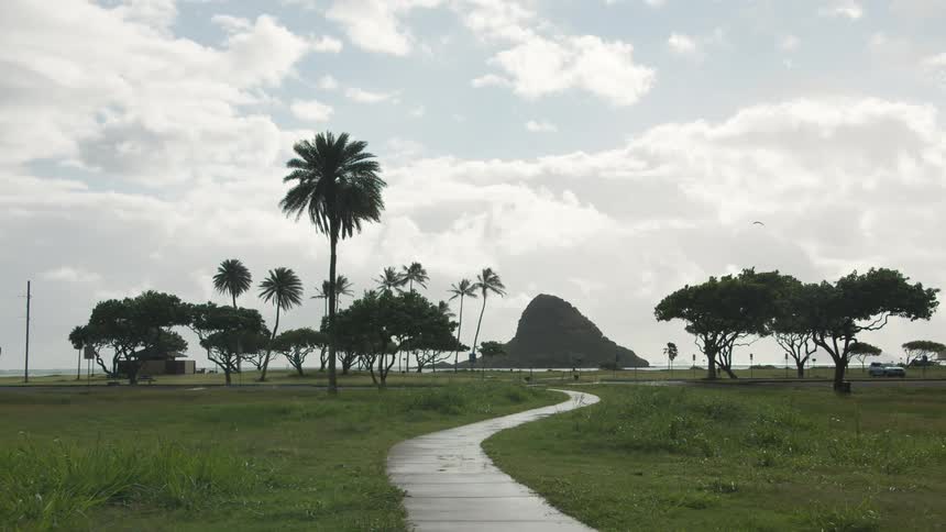 Grassland and path leading to beach in hawaii