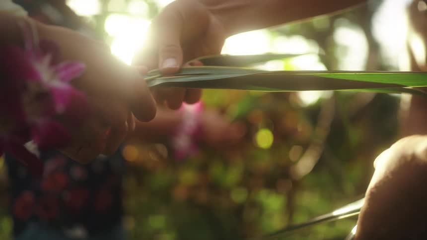 A person taking leaves out of the hand of another
