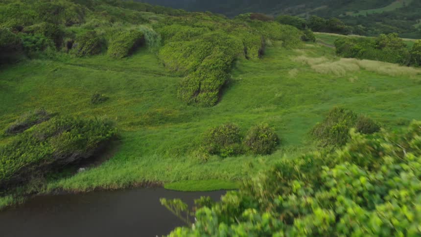 Mountains and lush green tropical forest and brushland in hawaii