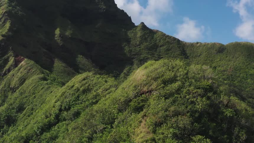 Aerial view of tropical forest on rugged mountains