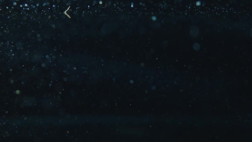 Particles float and swirl in liquid