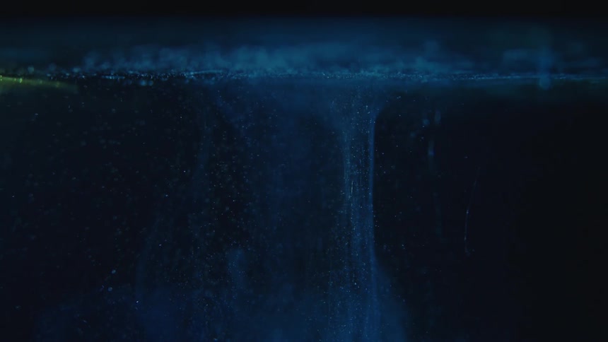 Bubbles rise to the surface of water