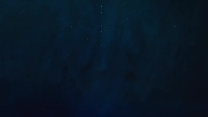 Droplets and bubbles diffuse