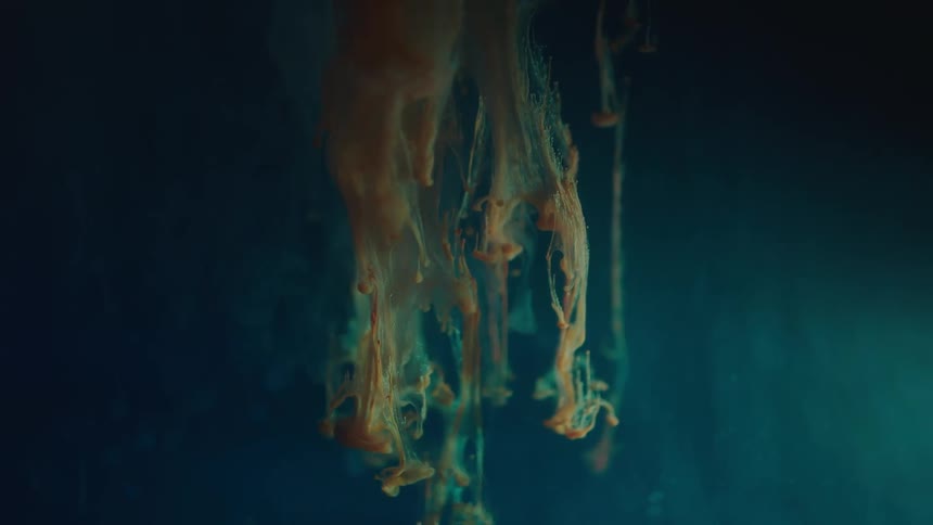 Tendrils hang down in water