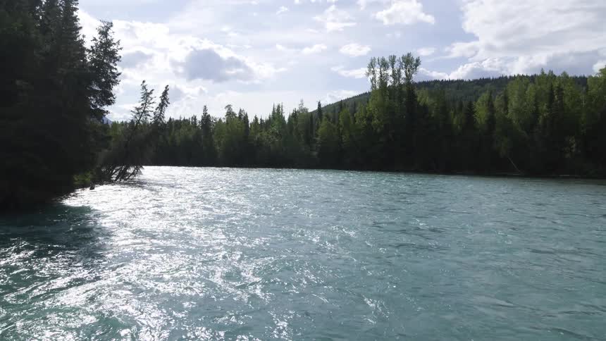 Flowing river is bordered by forests on two sides and a nearby mountain