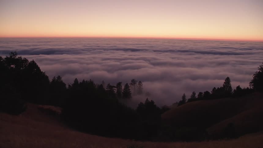 Clouds cover a forest