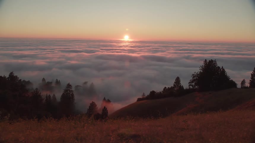 Sun sets over thick cloud cover settled in valley below tree line