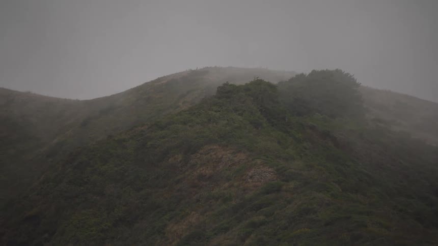 A mountain covered in fog and greenery