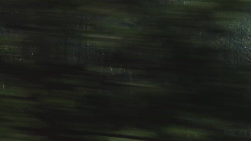 Road passes by conifer forest covered mountains during the day