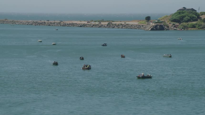 Many boats are on the water