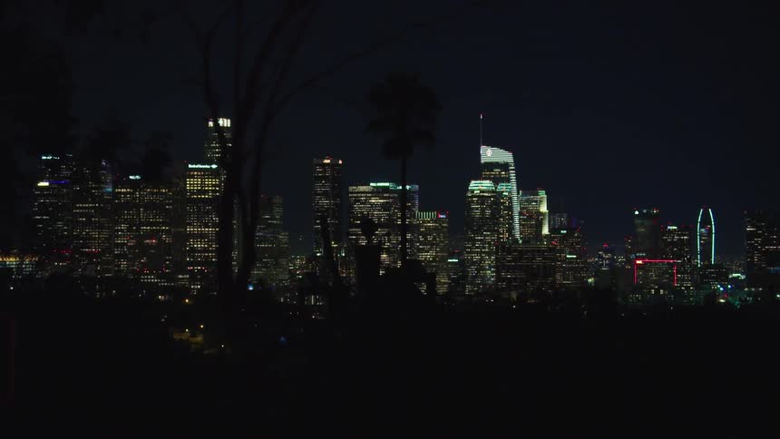 Trees at night with the city skyline in the background